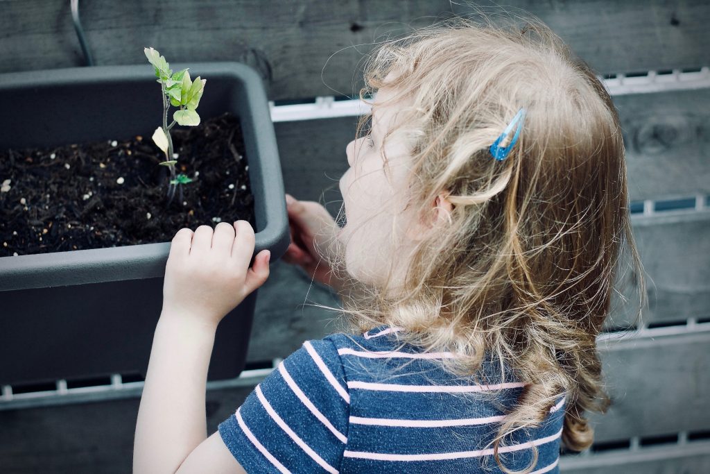 Menina criança experienciando percepção sensorial ao brincar com uma planta.