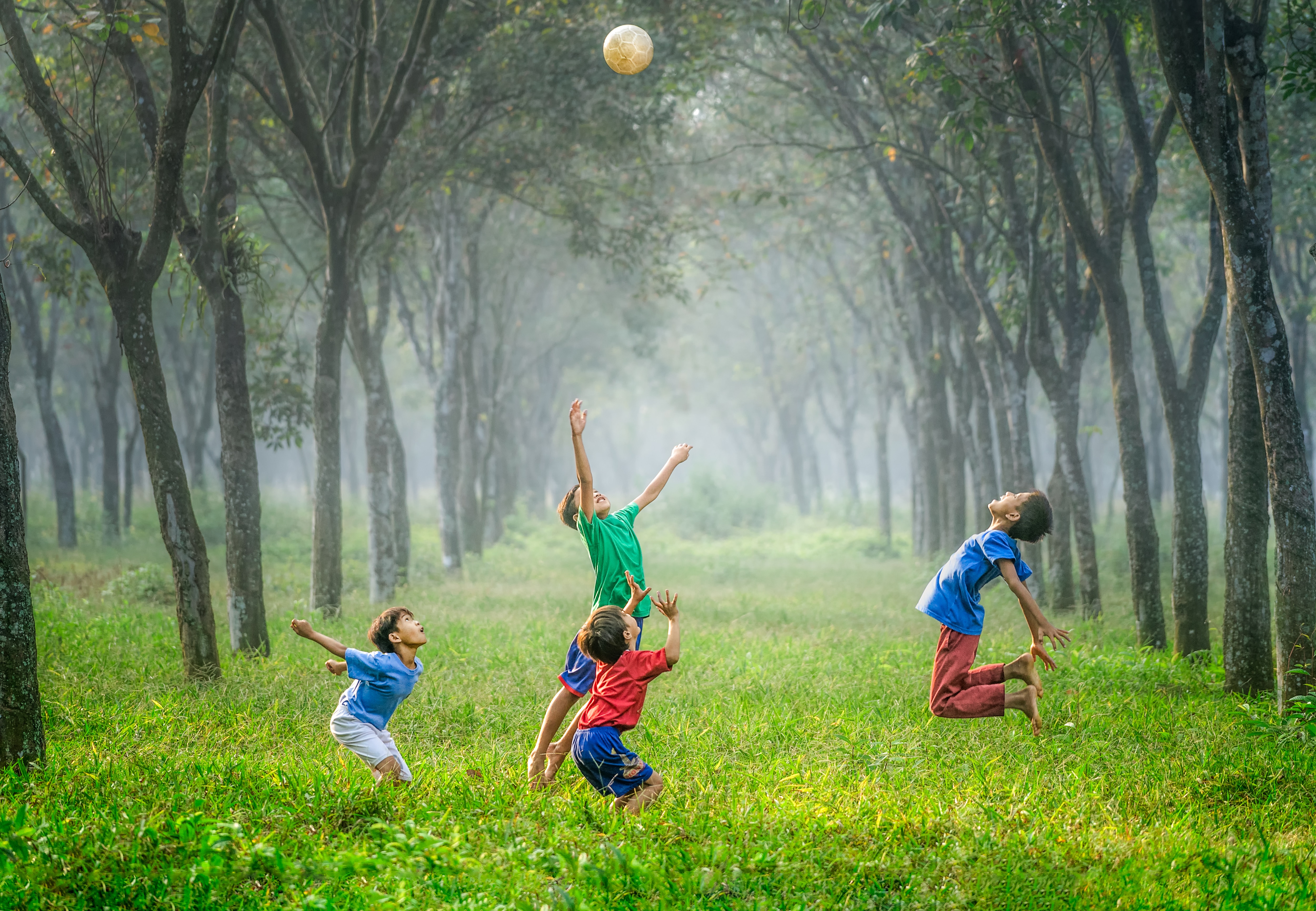 Percepção sensorial em crianças: imagem de crianças brincando em gramado